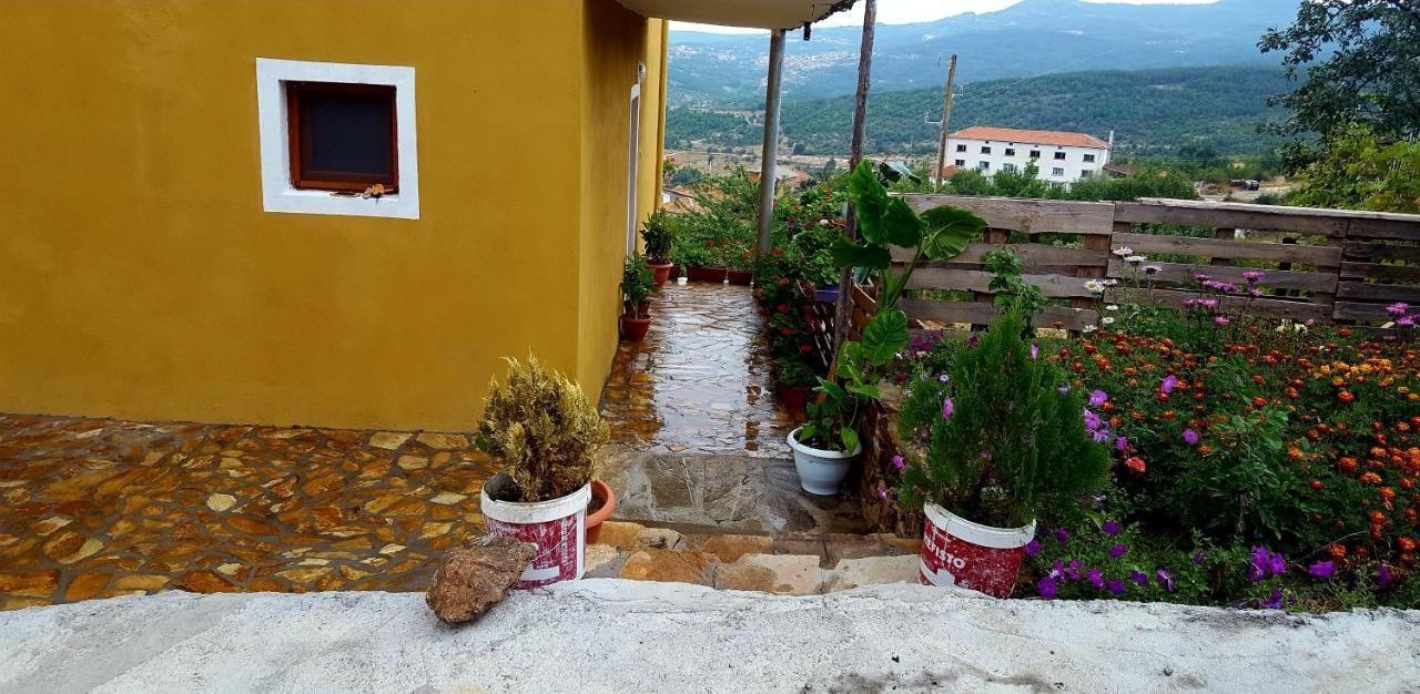 Guest House Agush Kribul Экстерьер фото